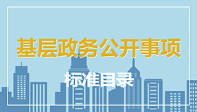 基層政務公開事項標準目錄